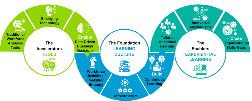 Solving organizational skills gaps